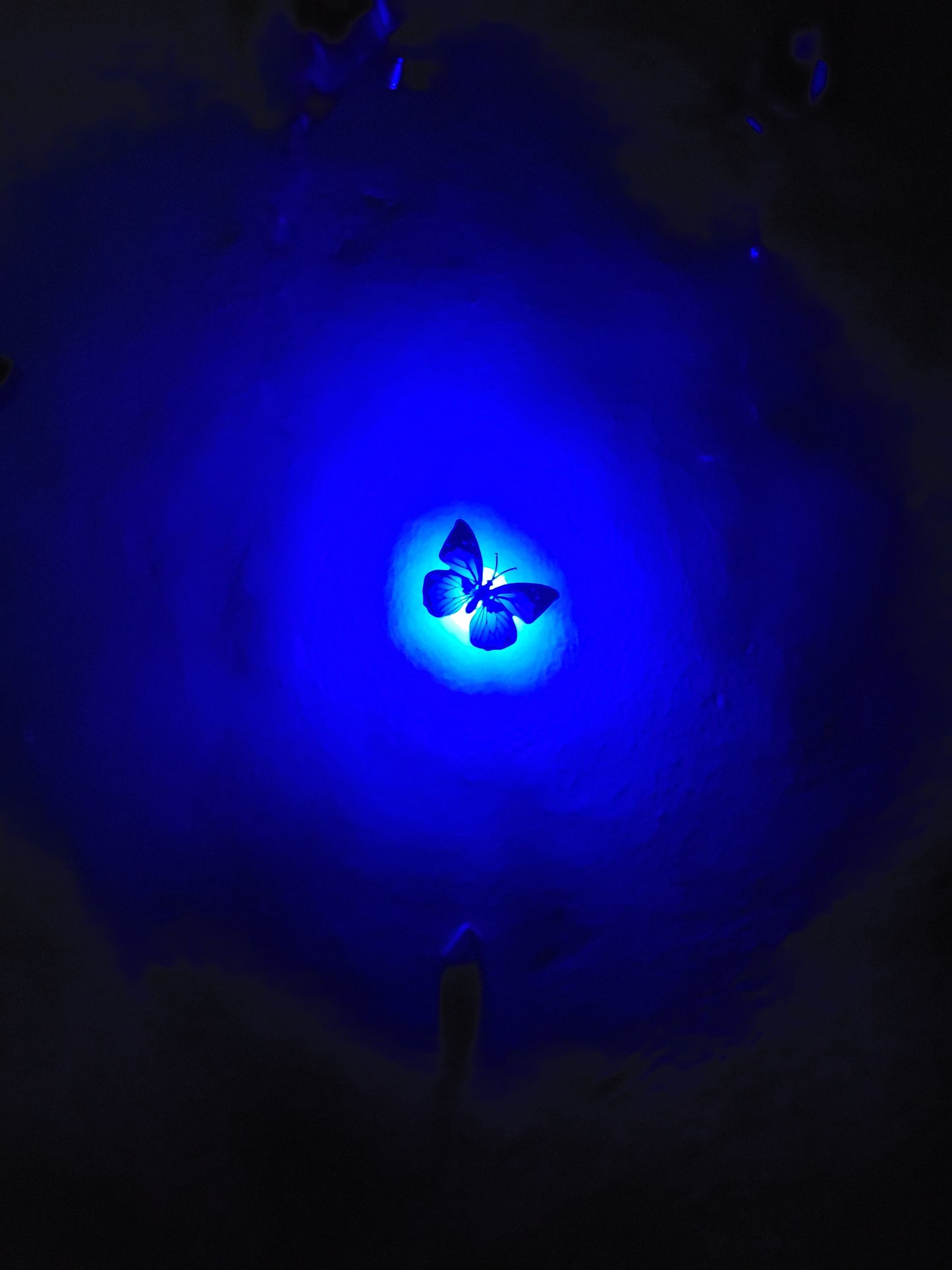 Lightening butterflies