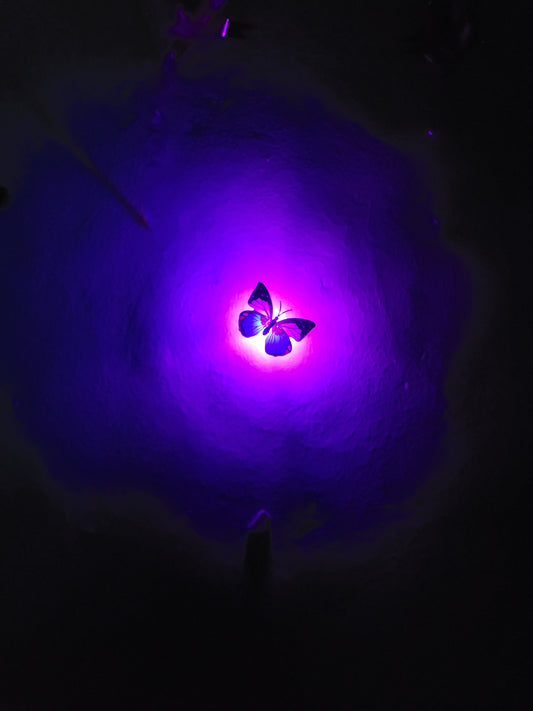 Lightening butterflies
